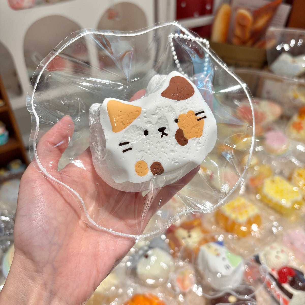 C-三花猫
