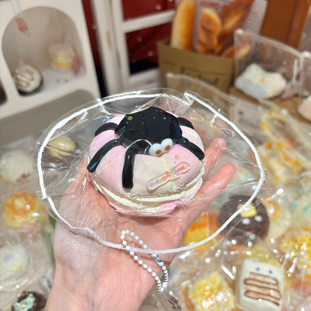 蜘蛛南瓜